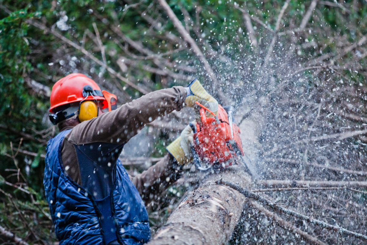Chain Saw Safety course image