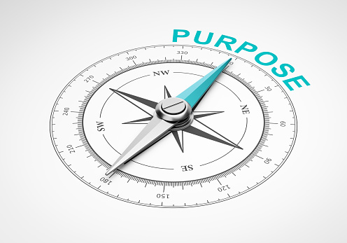 Purpose compass