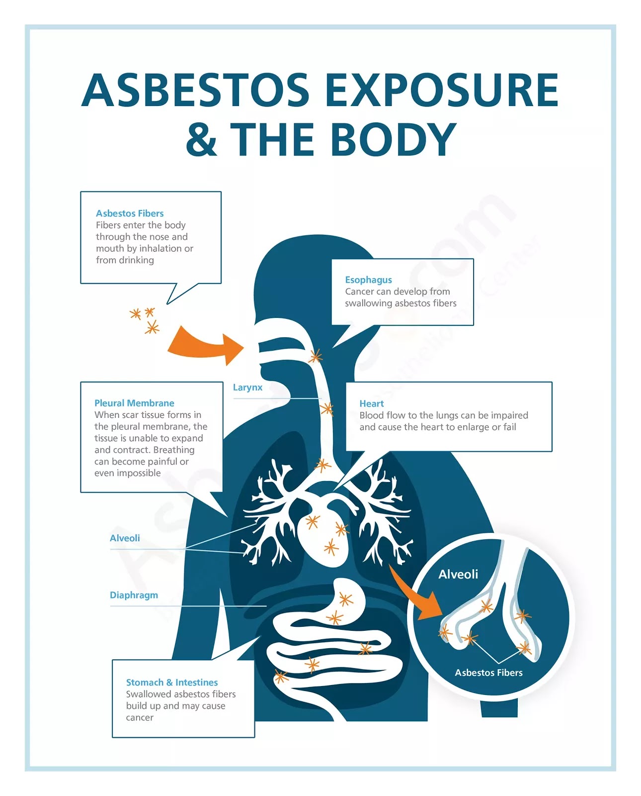 health affects from asbestos
